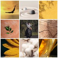 Planche d'inspiration conceptuelle sur le thème du salon "rayonnement élégant"